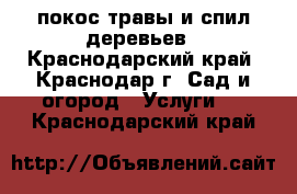 покос травы и спил деревьев - Краснодарский край, Краснодар г. Сад и огород » Услуги   . Краснодарский край